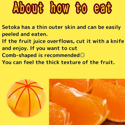 Approximately 3 kg of Setoka, one of the three generations of high-quality citrus fruits from Ehime Prefecture, Japan, in a gift box