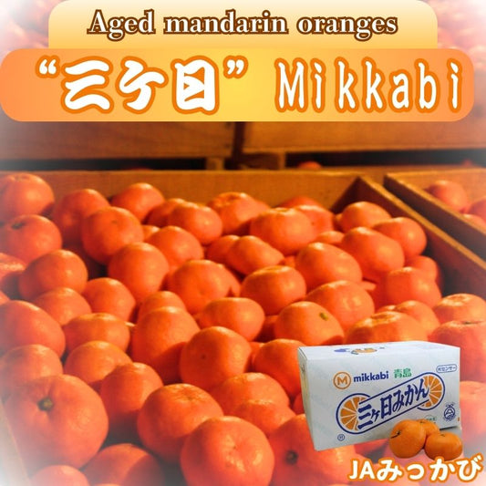 Shizuoka Prefecture, Japan's proud Mikkabi mandarin oranges, Mikkabi brand, about 2.5 kg