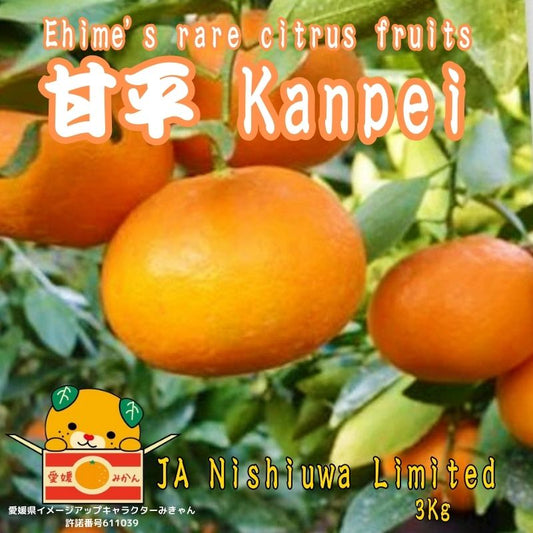 Kanpei from Ehime Prefecture, Japan, gift box, approx. 3 kg