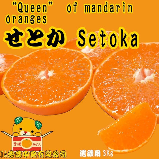 Setouchi from Ehime Prefecture, Japan, gift box, approx. 3kg