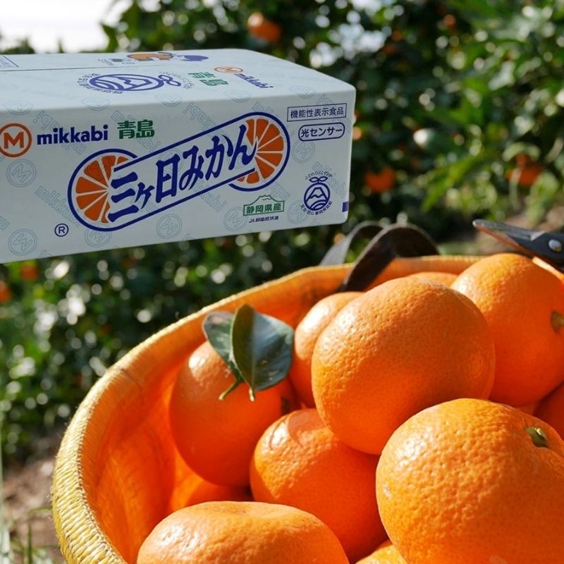Japan's Shizuoka Prefecture is proud of Mikkabi mandarin oranges, Mikkabi brand, approximately 2.5 kg