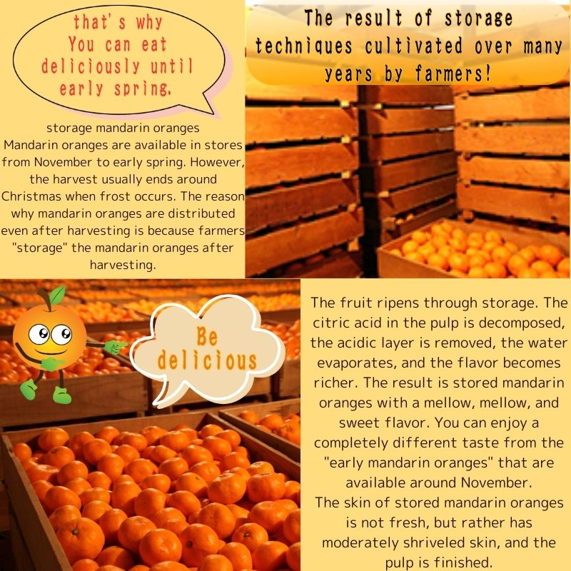 Japan's Shizuoka Prefecture is proud of Mikkabi mandarin oranges, Mikkabi brand, approximately 2.5 kg