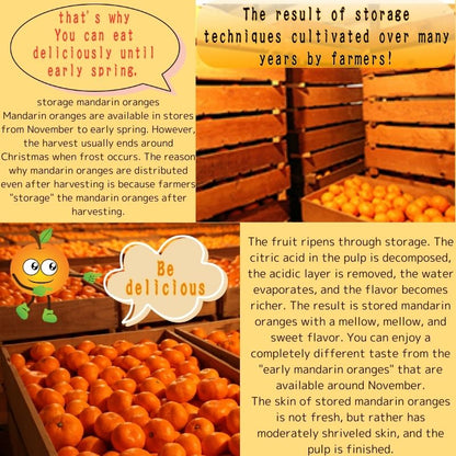 Japan's Shizuoka Prefecture is proud of Mikkabi mandarin oranges, Mikkabi brand, approximately 2.5 kg